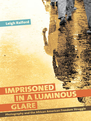 Imprisoned in a Luminous Glare - ebook